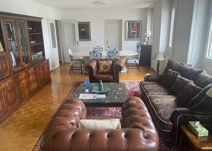 Geneve, Plein Centre,Belle Vue Lac, Splendide Et Grand Appartement